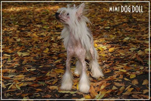 Olegro Katrin Smail For Mimi Dog Doll