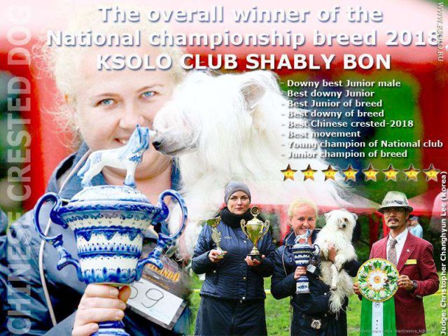Ksolo Club Shably Bon