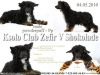 Ksolo Club Zefir V Shokolade