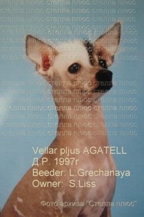 Agatell