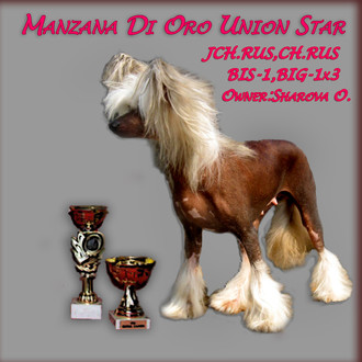 Manzana Di Oro Union Star