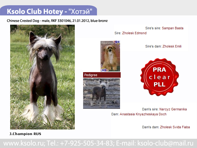 Ksolo Club Hotey