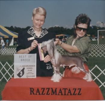 Razzmatazz Radioactive