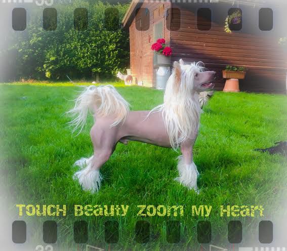 Touch Beauty Zoom my Heart