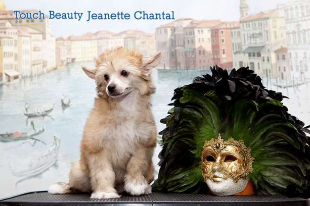 Touch Beauty Jeanette Chantal