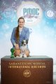 Интернациональная выставка собак CACIB – голая сука Grand Passage Carmelita