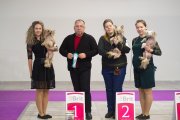 Club Dog Show Candidat in Club Winner – hairless male Rus Foreva Dionis