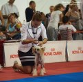 Интернациональная выставка собак CACIB – голая сука Olegro Katrin Chardone