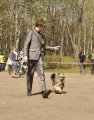 Региональная выставка собак CAC – Россия, Нерехта (Костромская область)