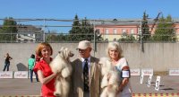 Интернациональная выставка собак CACIB – пуховая сука FutureLine Felicie Izyum