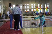 Club Dog Show Candidat in Club Winner – hairless male Utrenniy Breeze Fly Of The Night