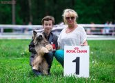 Club Dog Show Club Winner – Russia, Mytishchi (MO)