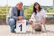 Regional Dog Show CAC – Belarus, Mahilyow (Mogilev)