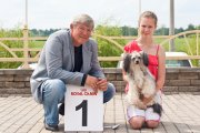 Региональная выставка собак CAC – Беларусь, Могилёв (Могилевская область)