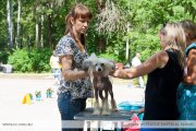 Club Dog Show Candidat in Club Winner – Russia, Nerekhta (Kostroma)