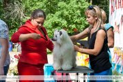 Club Dog Show Candidat in Club Winner – Russia, Nerekhta (Kostroma)