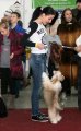 Национальная выставка собак CAC – пуховая сука Brilliantovaya Koketka Iz Doma Tashi