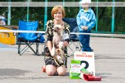 Club Dog Show Candidat in Club Winner – hairless female Sasquehanna Wolnosc
