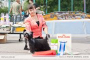 Club Dog Show Candidat in Club Winner – powderpuff female Status Imperial Ulania