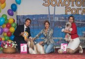 Regional Dog Show CAC – Russia, Vladivostok (Primorskiy)