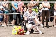 Club Dog Show Club Winner – Russia, Nerekhta (Kostroma)