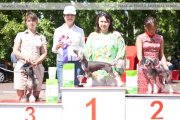 Club Dog Show Candidat in Club Winner – hairless female Familnaya Tsennost ot Shvedskogo Parnya