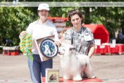 Club Dog Show Candidat in Club Winner – powderpuff male Gidaori Zloty