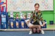 Национальная выставка собак CAC – голая сука Baikal Dream BVlgari Passion