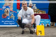 Club Dog Show Club Winner – Russia, Yaroslavl (Jaroslavl)