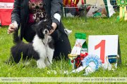 Club Dog Show Candidat in Club Winner – Russia, Ivanovo (Ivanovo)