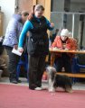 Региональная выставка собак CAC – Россия, Рыбинск (Ярославская область)
