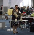 Интернациональная выставка собак CACIB – голая сука Nilufer Molosos Gratzi