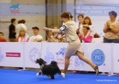 Интернациональная выставка собак CACIB – пуховый кобель Star Level Terpikeravnos