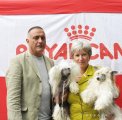 Интернациональная выставка собак CACIB – голый кобель Credo Marini Nibori