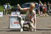 Club Dog Show Candidat in Club Winner – hairless female Mirabel' White Squirrel for Zholesk