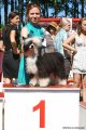 Club Dog Show Candidat in Club Winner – powderpuff male Ksolo Club Lapush