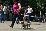 Club Dog Show Club Winner – Russia, Nerekhta (Kostroma)