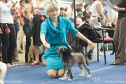 National Dog Show CAC – hairless male Mano Ponis Athos Endless Kiss