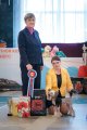 Национальная выставка собак CAC – Россия, Ярославль (Ярославская область)