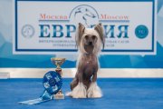 Евразия-Кубок президента РКФ – Россия, Москва (Москва)