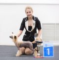 Club Dog Show Candidat in Club Winner – hairless male Rolana Family Elisey