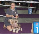 Club Dog Show Club Winner – hairless female Rolana Family Evangelista