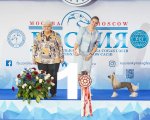 Кубок президента РКФ – Россия, Москва (Москва)