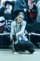 National Dog Show CAC – powderpuff female Sofiris Show Eye Candy