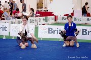 Интернациональная выставка собак CACIB – голый кобель Ognenny Lotos Hard-Rock