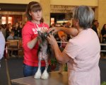 Regional Dog Show CAC – hairless male Ognenny Lotos Hard-Rock