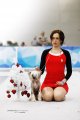 Интернациональная выставка собак CACIB – голая сука Star Dynasty Opium