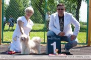 Club Dog Show Candidat in Club Winner – powderpuff male Naleks Art Jerome Velikolepniy