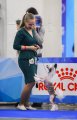 Интернациональная выставка собак CACIB – голая сука Mashama Mazi Rus Ukengee Grand Passage