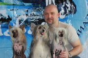 Интернациональная выставка собак CACIB – пуховая сука Shekherezada Skazka Nochnogo Vostoka